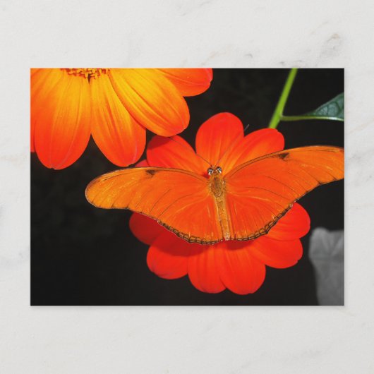 色調整 ポストカード (正面)