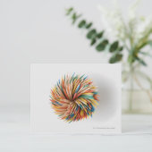 色鉛筆のクローズアップ ポストカード (スタンド正面)