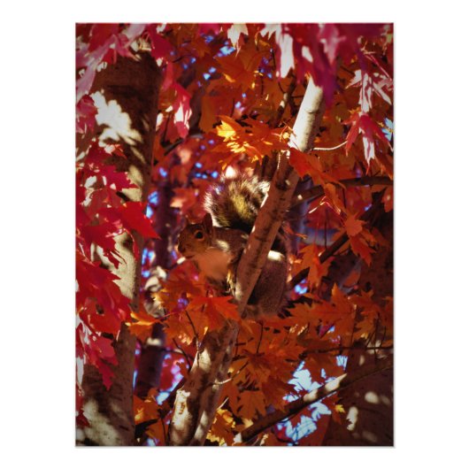 色鮮やかなクリッター フォトプリント            (正面)