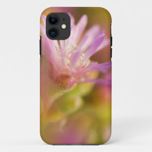色鮮やかな多肉植物の花のぼやけた画像 iPhone 11 ケース