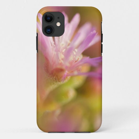 色鮮やかな多肉植物の花のぼやけた画像 Case-Mate iPhoneケース (裏面)