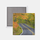 色鮮やかな紅葉が並ぶ風景 マグネット (正面/裏面)