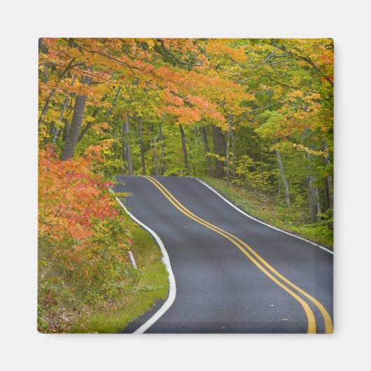 色鮮やかな紅葉が並ぶ風景 マグネット (正面)
