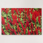 色1 ジグソーパズル (横)