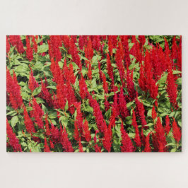 色1 ジグソーパズル