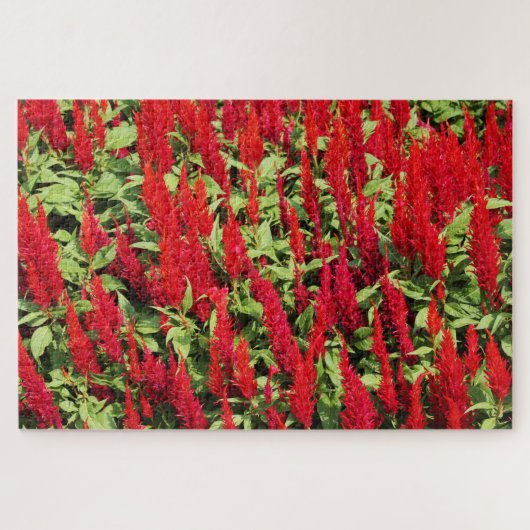 色1 ジグソーパズル (横)