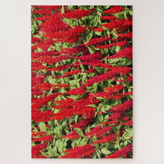 色1 ジグソーパズル (縦)