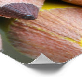 色 ポスター (角)