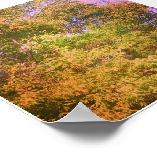 色 ポスター (角)