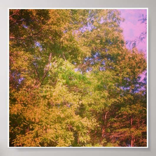 色 ポスター (正面)