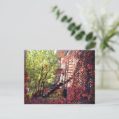 色 ポストカード (スタンド正面)