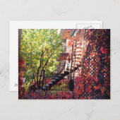 色 ポストカード (正面/裏面)