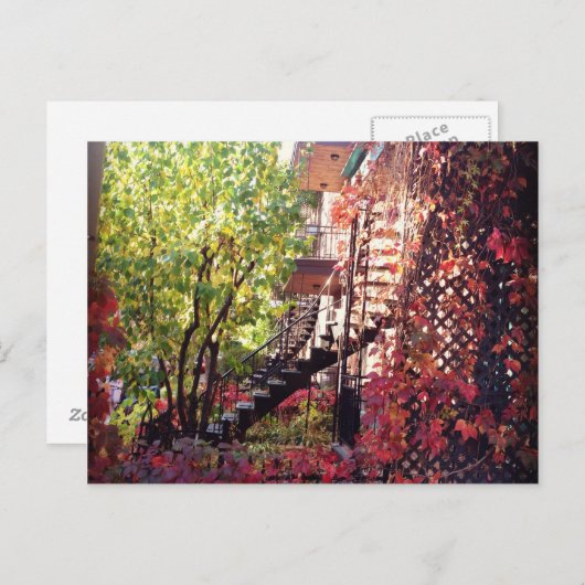 色 ポストカード (正面/裏面)