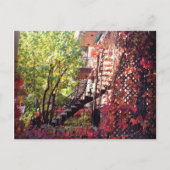 色 ポストカード (正面)