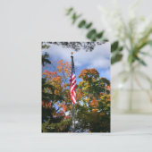 色 ポストカード (スタンド正面)