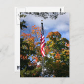 色 ポストカード (正面/裏面)