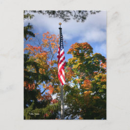 色 ポストカード