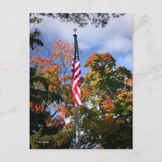 色 ポストカード (正面)