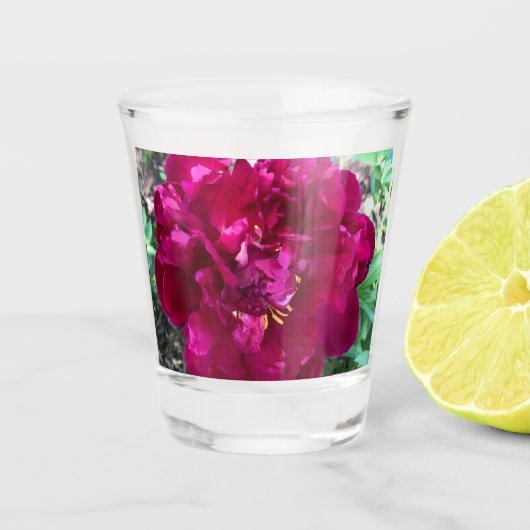 芍薬のショットグラス ショットグラス (正面)
