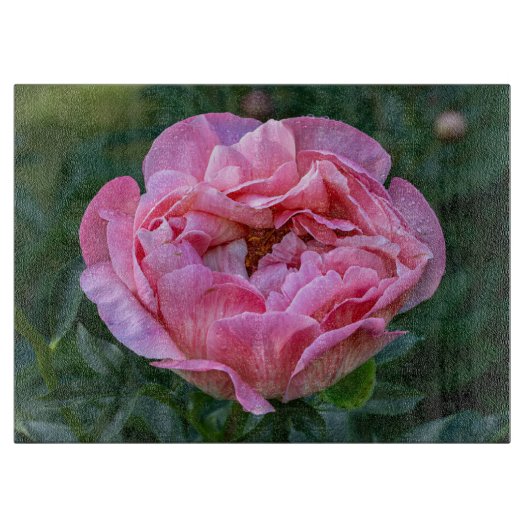 芍薬のピンクの花の写真 カッティングボード (正面)