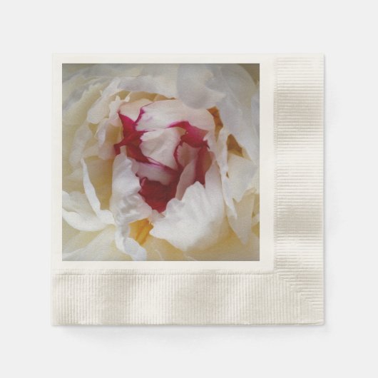 芍薬の花びら 縁ありカクテルナプキン (正面)