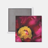 芍薬 マグネット (正面/裏面)
