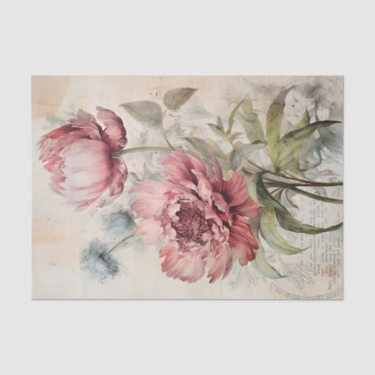芙蓉の牡丹の植物画 薄葉紙 (正面)