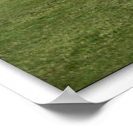 芝居小屋 ポスター (角)