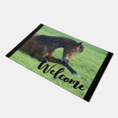 芝生かわいらしの中に寝そべる茶色の馬 ドアマット (アングル)