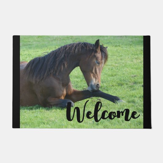 芝生かわいらしの中に寝そべる茶色の馬 ドアマット (正面)
