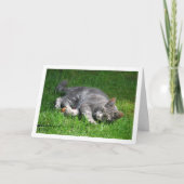 芝生に寝そべる灰色の子猫 カード (正面)