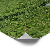 芝生に敷く群 ポスター (角)