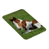 芝生に敷く群 マグネット (右側)