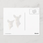 芝生に横たわる子鹿 ポストカード (裏面)