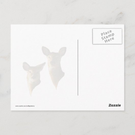芝生に横たわる子鹿 ポストカード (裏面)