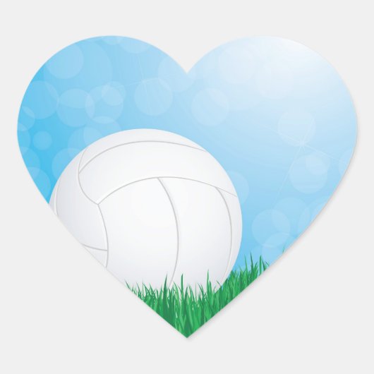 芝生のバレーボール ハートシール (正面)