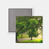 芝生のマグネットのロビン マグネット (正面/裏面)