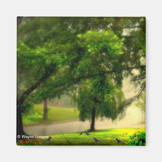 芝生のマグネットのロビン マグネット (正面)