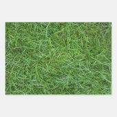 芝生の上に置かれたリタイアゴルフボール ラッピングペーパーシート (正面3)