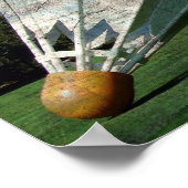 芝生の上のシャトルコック ポスター (角)