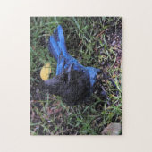 芝生の上のベビーカーのカケスの鳥瞰図 ジグソーパズル (縦)