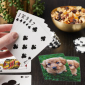芝生の上の愛らしい子犬の写真 トランプ (インサイチュ)