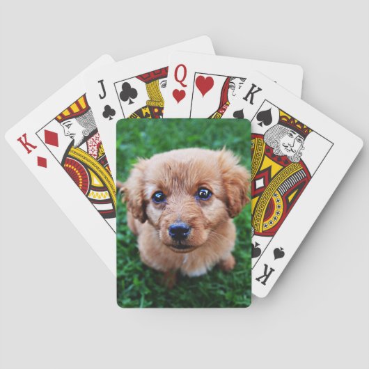 芝生の上の愛らしい子犬の写真 トランプ (裏面)