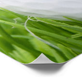 芝生の中のゴルフボール ポスター (角)