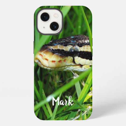 芝生の中のボールパイソンヘビ iPhoneケース (裏面)
