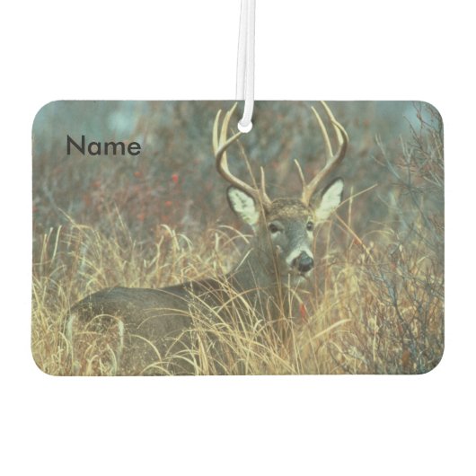 芝生の中の8ポイントバック カーエアーフレッシュナー (裏面)