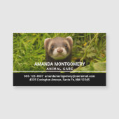 芝生の写真の可愛い茶色のフェレット (正面)