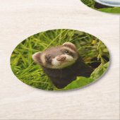 芝生の写真の可愛い茶色のフェレット ラウンドペーパーコースター (アングル)