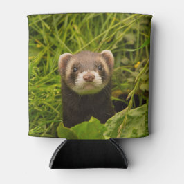 芝生の写真の可愛い茶色のフェレット 缶クーラー