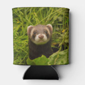 芝生の写真の可愛い茶色のフェレット 缶クーラー (裏面)